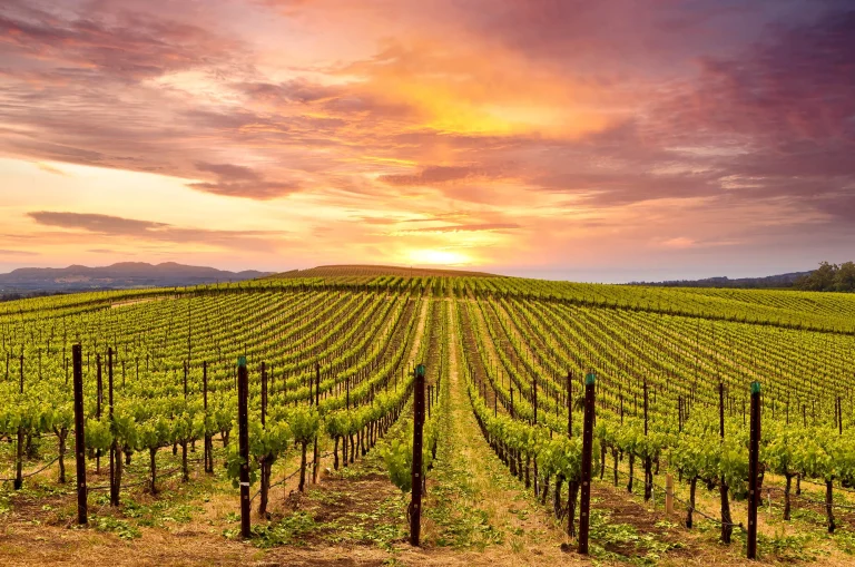 Napa County California
